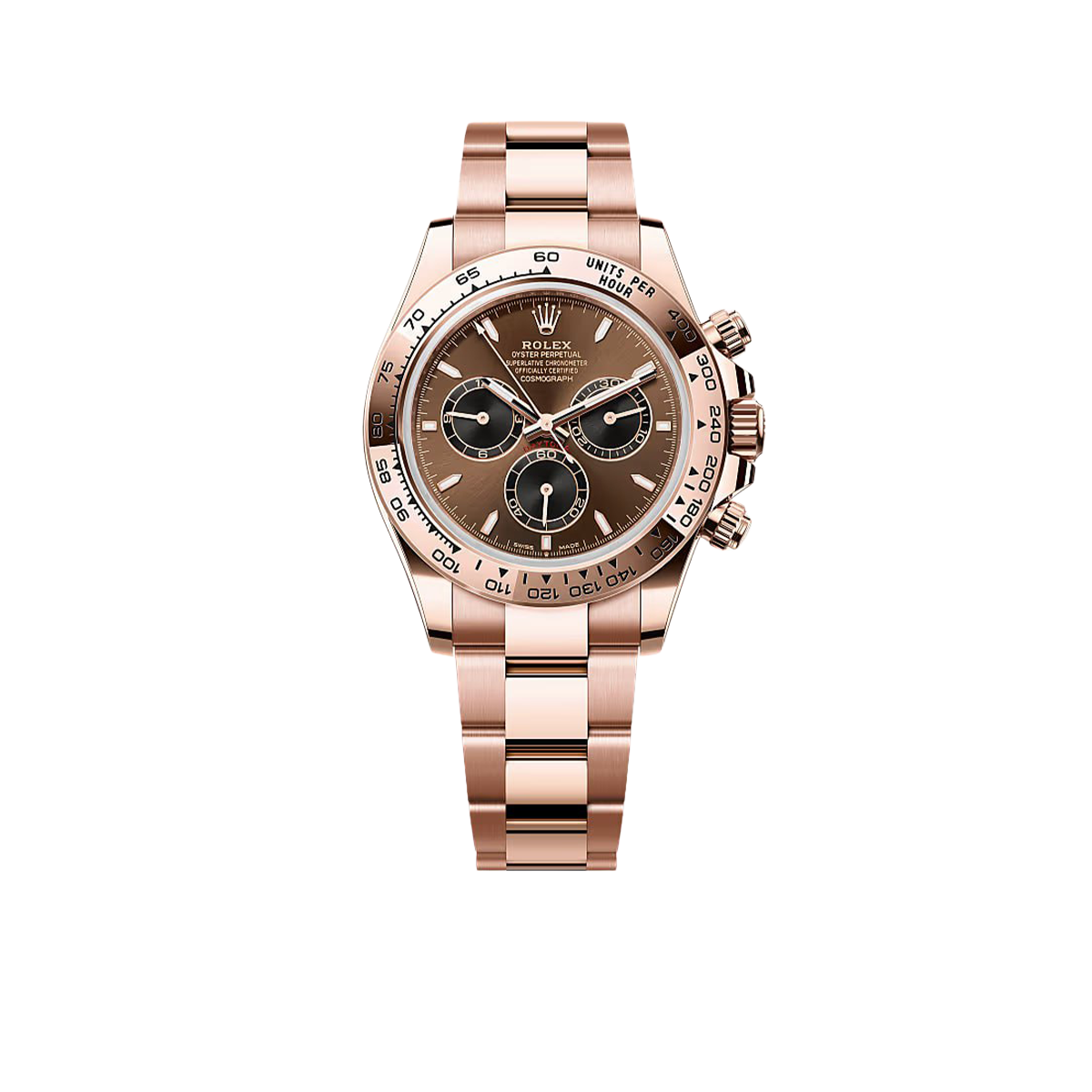 Rolex Cosmograph Daytona 40mm Everose Gold Chocolate Dial Mens Watch 126505-0005 New