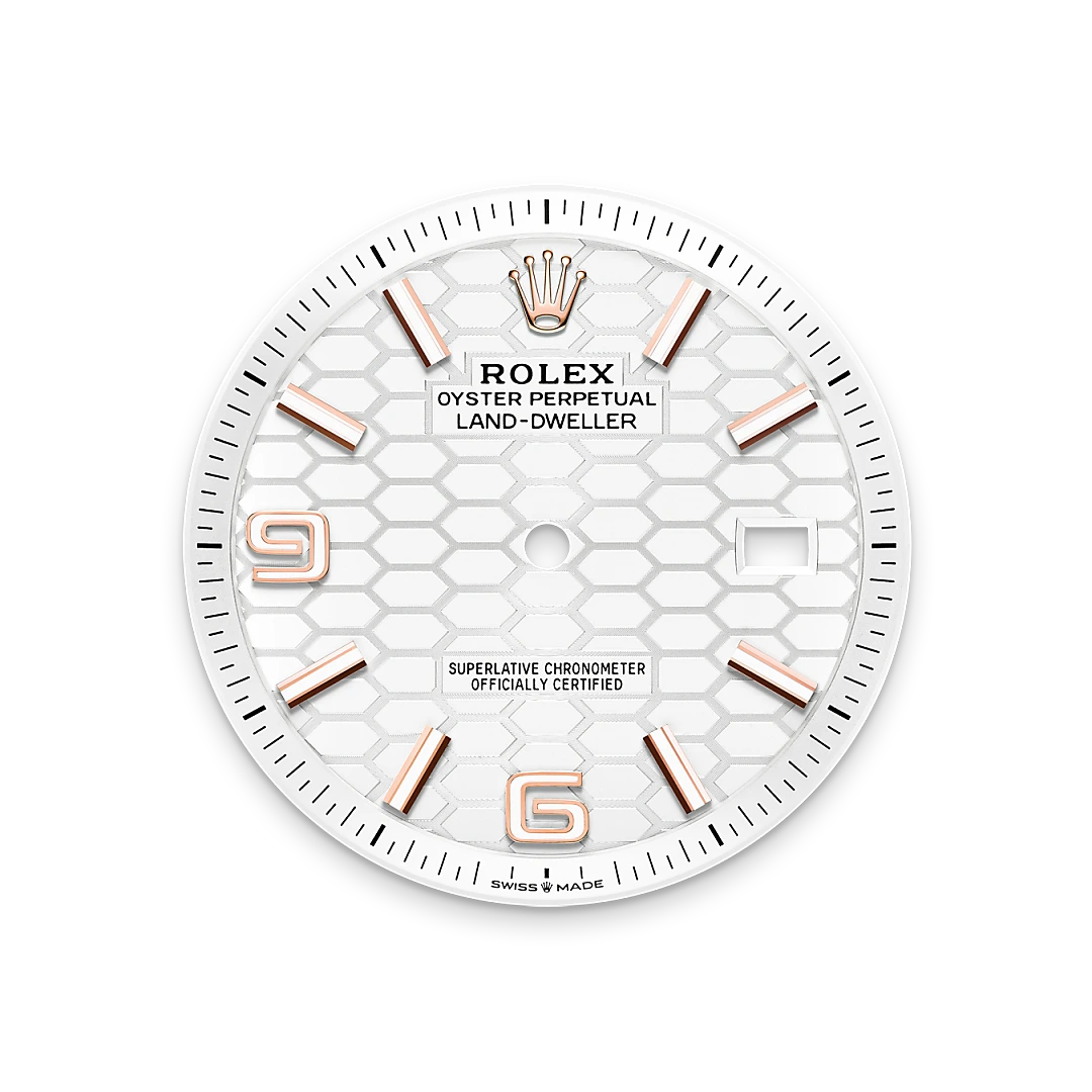 Rolex Land-Dweller 40mm Oyster Everose gold M127335-0001 - Image 4